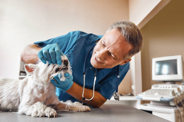Best Tooth Infection Emergency Dentist  in Lake Forest, CA